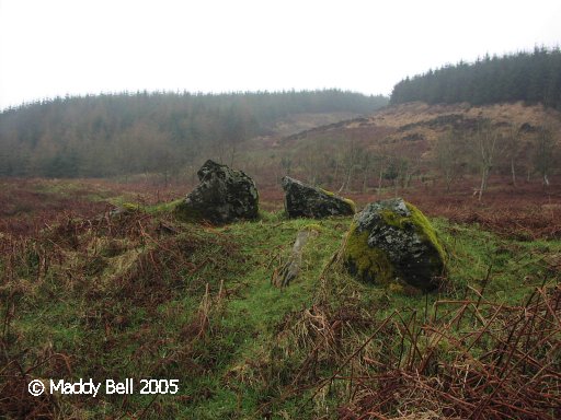 Click for the gallery page to add comments and vote (PID:24882) Lochorodale Chambered Cairn