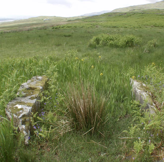 Click for the gallery page to add comments and vote (PID:12384) Uluvalt Standing Stones