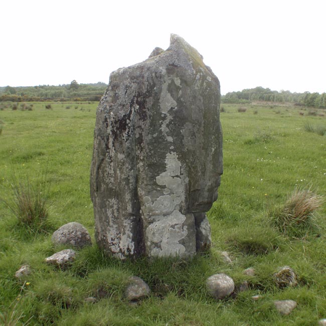 Photo used by kind permission of Tom Bullock. More details of this location are to be found on his Stone Circles and Rows CD-ROM.