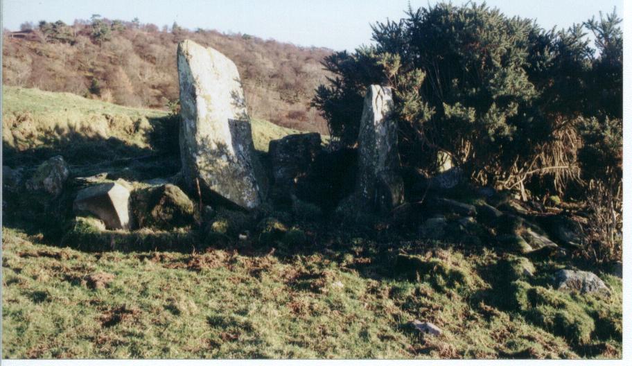 Glenvoidean