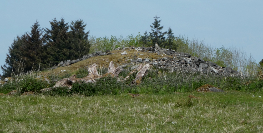 Click for the gallery page to add comments and vote (PID:197471) Carn Mor (Lismore)