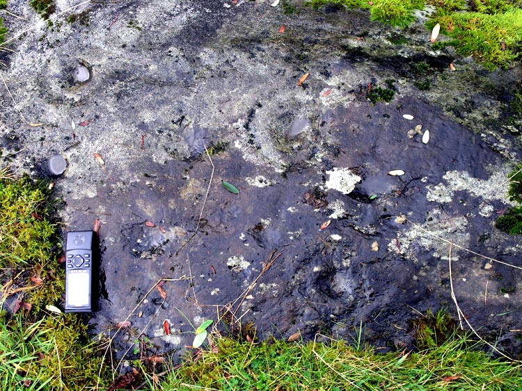 Click for the gallery page to add comments and vote (PID:32526) Torran Cup-marked rock