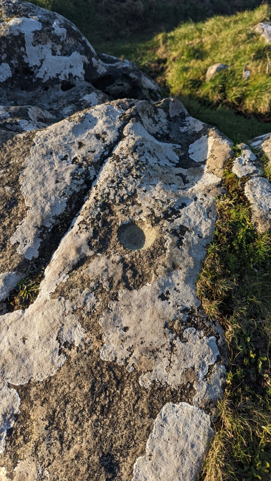 Click for the gallery page to add comments and vote (PID:255342) Crinan Woods Cup Stone