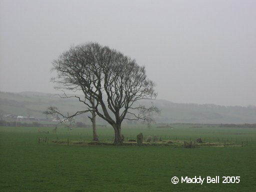Click for the gallery page to add comments and vote (PID:24888) St Colmac Cottages Stone Circle