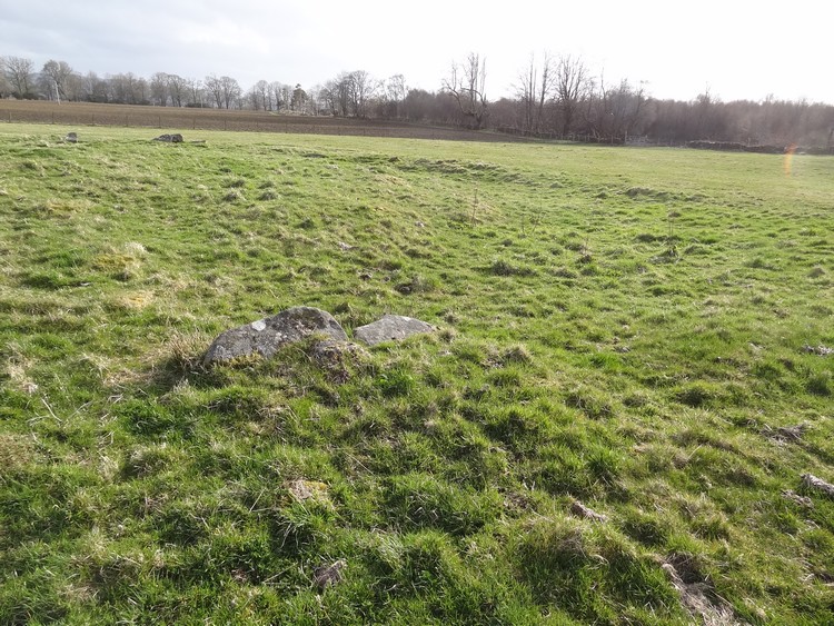 Northern part of the henge with bank and ditch. Within this henge two cists were discovered, one of them containing a Beaker (photo taken on April 2013).