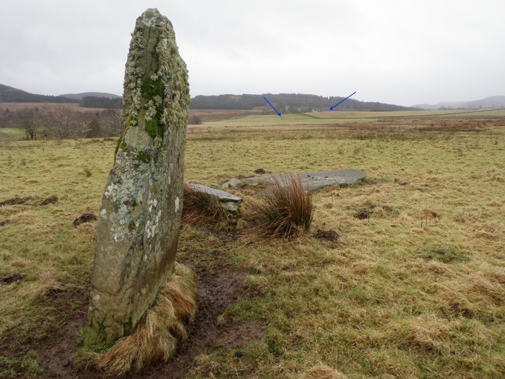 Dunamuck North