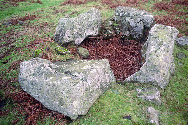 Click for the gallery page to add comments and vote (PID:19725) Dunagoil
