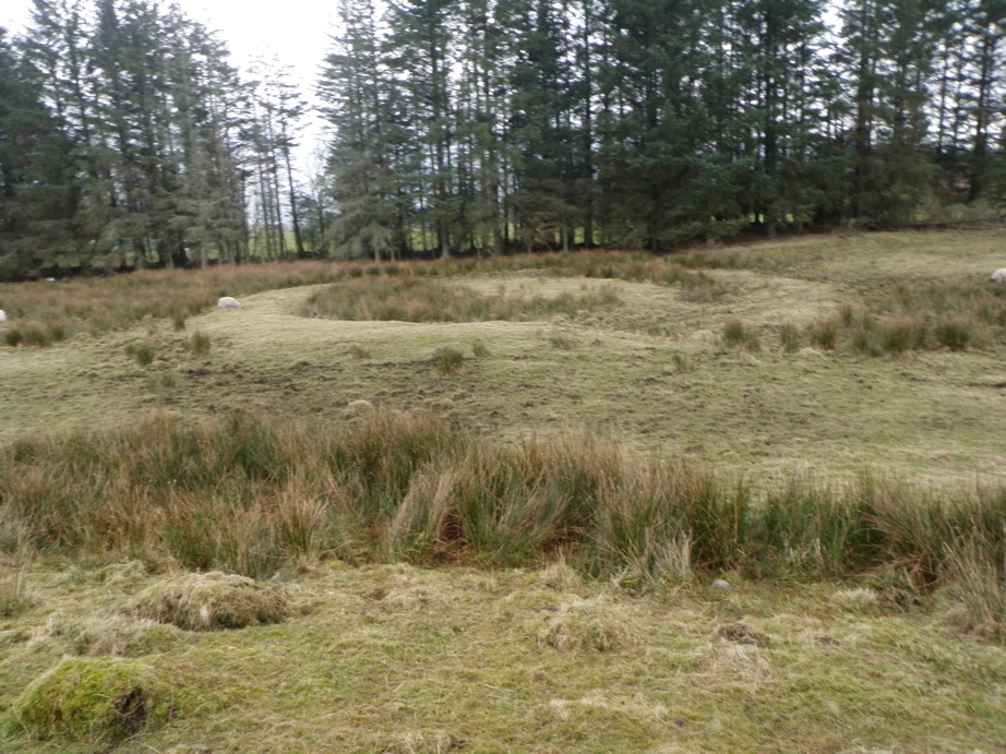 Cleigh