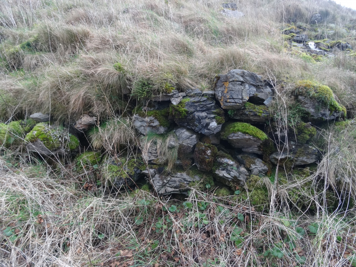 Sean Dun - wall of an outwork in the western part of the site (photo taken on February 2023).