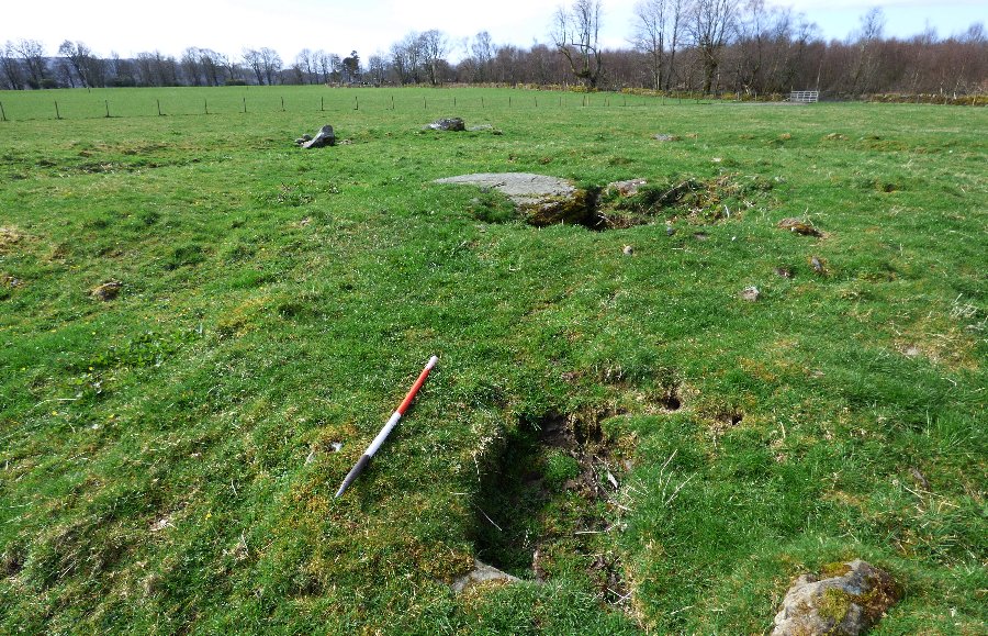 Ballymeanoch Henge