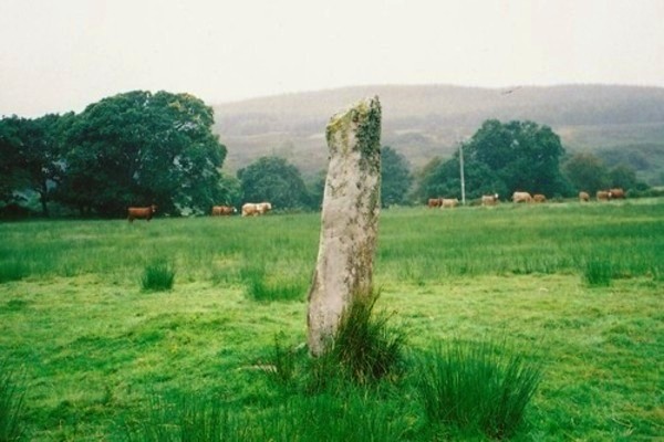 Click for the gallery page to add comments and vote (PID:120212) Carse Standing Stones West