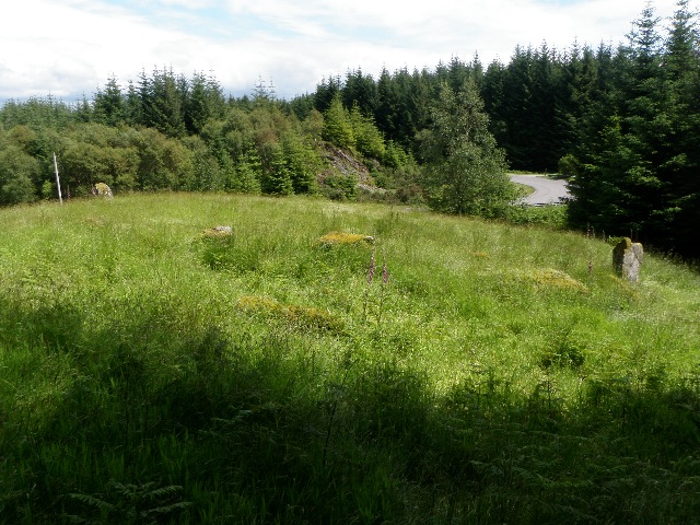 NR 7827 9068, unknown site I found that looks like a Stone Circle that's not on the map or Google Earth. 

Next to the road on a raised bit of ground in a clearing in the forest. Two stones still stand, did count another 8 under the grass.

(See the main site page for more details on this site)