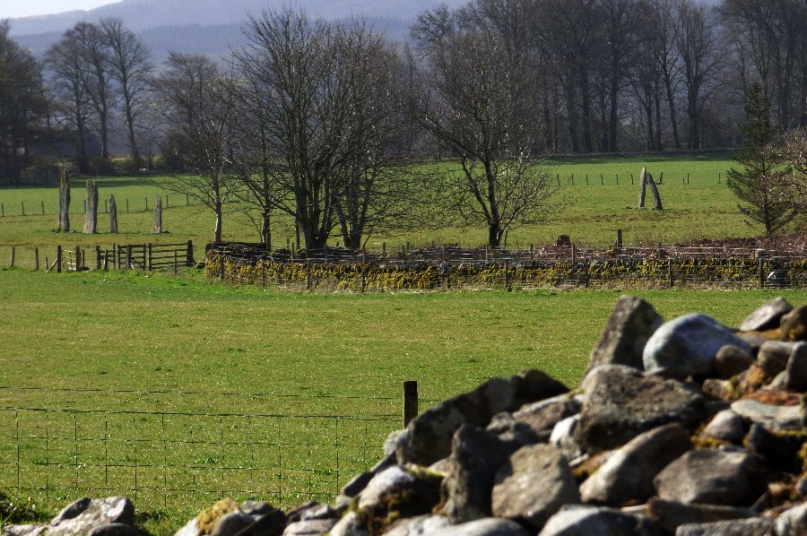 Ballymeanoch Stone Row