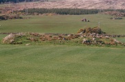 The Priest's Grave (Ardnacross) - PID:257307