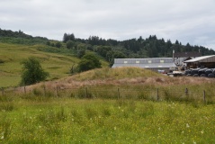 Glenamacrie Farm