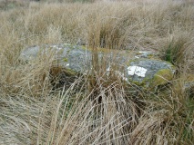 Barsloisnoch - PID:255795