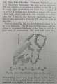 Dun Chruban - PID:273808