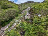 Dun Choinichean - PID:274269