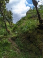 Dun Choinichean - PID:274267