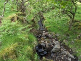 Dun Choinichean - PID:274266