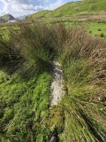 Barrackan cross incised stone - PID:312245