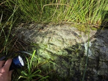 Barrackan cross incised stone - PID:312246
