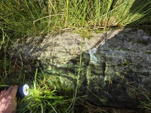 Barrackan cross incised stone - PID:312247