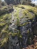 Achanarnich cup and ring marks - PID:312249