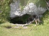 St Columba's Well (Southend) - PID:236568