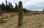 Achacha standing stone - PID:87103