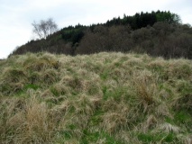 Carn Ban (Lochgilphead) - PID:290039