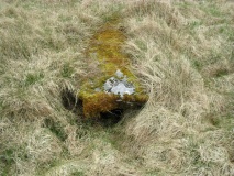 Carn Ban (Lochgilphead) - PID:290040