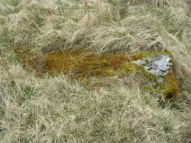Carn Ban (Lochgilphead) - PID:290041