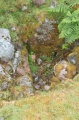 Serpent Mound - Loch Nell - PID:40075