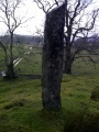 Castle Farm standing stone