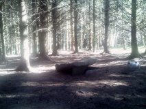 Rowanfield Cist