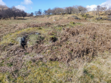 Port Donain Cairn - PID:256403