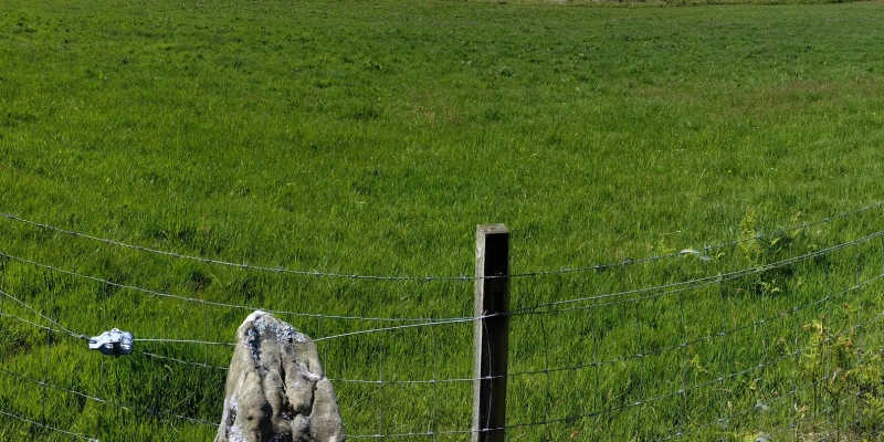 Cnoc nan Gobhar Stone