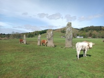 Ballymeanoch Stone Row - PID:301861 Ballymeanoch Stone Row - PID:301861