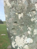 Nether Largie Stone Row - PID:301873 Nether Largie Stone Row - PID:301873