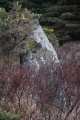 Loch Ciaran - PID:164730