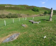 Quinish (Stone Row)