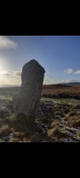 Brunerican Standing Stone - PID:302304
