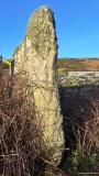 Craigs (Kintyre) - PID:300126