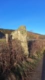 Craigs (Kintyre) - PID:300128