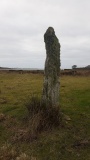 Carse Standing Stones West - PID:300132