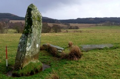 Dunamuck North