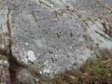 Achnabreck Forest Rock Art - PID:197229