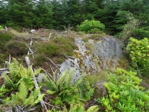 Ardmarnoch 4