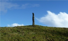 Castle Farm standing stone - PID:87167